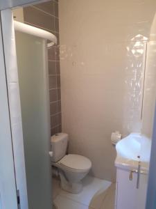 a bathroom with a white toilet and a sink at Apartmani Pleša in Vir