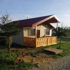 a small house with a wooden deck on a yard at Cabana de lemn Runcu Stone in Runcu