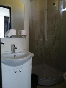a bathroom with a sink and a shower at Cabana de lemn Runcu Stone in Runcu