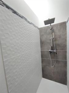 a shower in a bathroom with a shower head at Appartement Oingt - Les Meublés des Pierres Dorées in Theizé