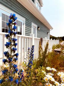 Gallery image of Gros Morne BaseCamp in Norris Point