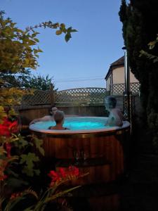 Foto de la galería de Gorgeous Country Cottage on outskirts of Bath with Wood Fired Hot Tub en Midford