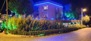 Grand Yayla Hotel外面的花园