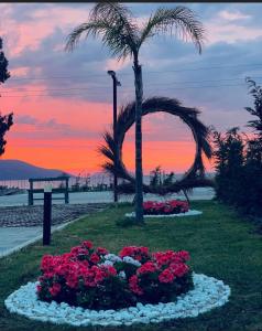 a circle of flowers in a park with a palm tree at R&I Sea and Mountain View Apartments Radhimë in Orikum