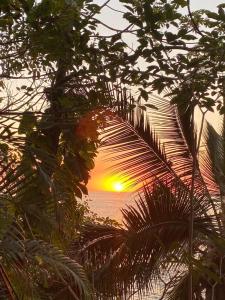 un coucher de soleil vu à travers les feuilles d'arbres dans l'établissement Traditional Sierra Leon Oceanfront Rooms - Adults Only, à Puerto Vallarta