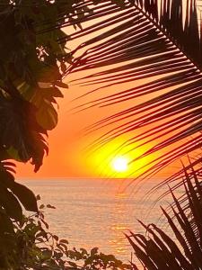 a sunset over the ocean with a palm tree at Traditional Sierra Leon Oceanfront Rooms - Adults Only in Puerto Vallarta