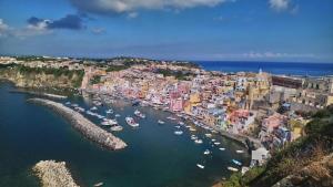 an aerial view of a harbor with boats in the water at Happy House Corricella in Procida