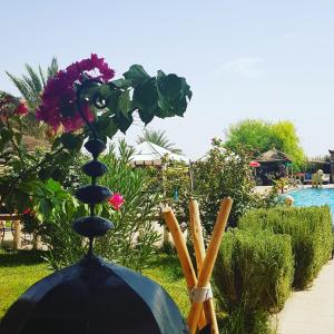 Bazén v ubytování Salma Palms Hôtel nebo v jeho okolí