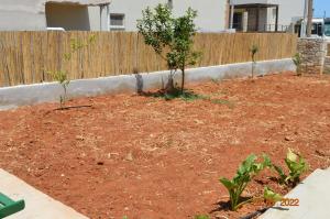 Billede fra billedgalleriet på Joy's house i Kato Gouves