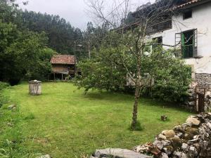 un piccolo albero in un cortile accanto a una casa di El Requexu de Rales a Rales