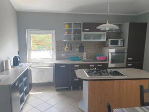 una cucina con lavello e fornello forno superiore di Apartament Pod Sosnami 1 Noclegi OTW Borówno Wlk Skarszewy a Skarszewy Altre 10 foto