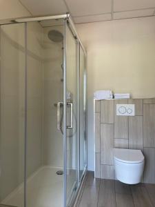 a bathroom with a glass shower and a toilet at Hôtel La Vigneraie in Levens