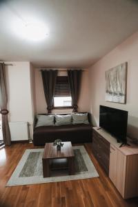a living room with a couch and a television at Apartmani Zračak in Zlatibor