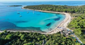 an aerial view of a beach with boats in the water at Kastelanic apartman in Brbinj