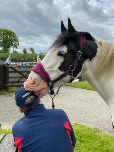 Imagen de la galería de Holywell Grange Farm, en Whitley Bay