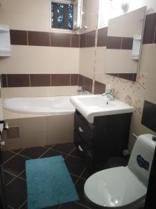 Imagen de la galería de APARTAMENt ULTRACENTRAL, en Tulcea