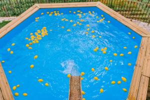 a bunch of oranges in a pool of water at Villa Le Murelle in Tramonti