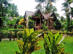 Ein Garten an der Unterkunft Tree Tops River Huts