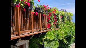 Vonkajšia záhrada v ubytovaní Splendido cottage Lakeview