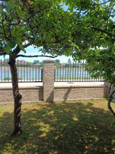 uma cerca de tijolos e uma árvore com vista para a água em Studio Mer & Aa-terrasse-jardin-WIFI-parking-classé 3 étoiles em Grand-Fort-Philippe