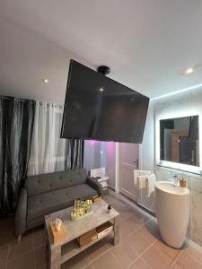 a living room with a couch and a tv at La Suite Etoilée in Domène