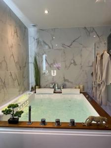 a bathroom with a large bath tub with a sink at La Suite Etoilée in Domène