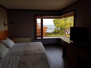 1 dormitorio con 1 cama, TV y ventana en Hotel Puelche, en Puerto Varas