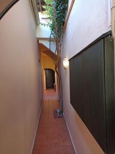 an alley with a tree in the middle of a building at Kostantaki Studios in Néa Péramos