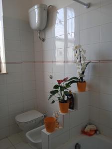 a white bathroom with a toilet and a sink at Viromar in Naples