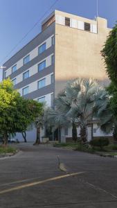 un grand bâtiment avec des palmiers devant lui dans l'établissement HOTEL RILUX Barrancabermeja, à Barrancabermeja