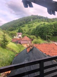 旅馆周边自然景观