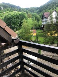 旅馆周边自然景观