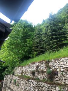旅馆周边自然景观