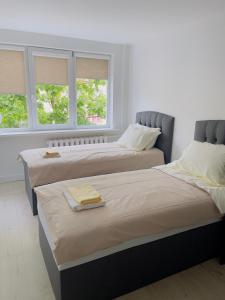 2 camas en una habitación con 2 ventanas en APARTMENTS IN THE CITY CENTER BIRŽAI Vytauto g22 en Biržai