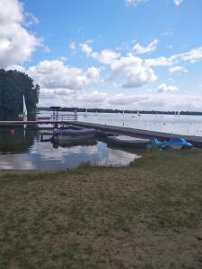 Przyroda w pobliżu tego domu wakacyjnego