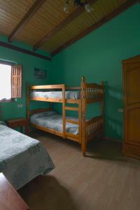フェレチョサにあるApartamentos El Campalの緑の壁のドミトリールームの二段ベッド2台