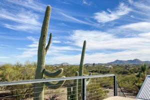 a saguaro cactus in the desert under a blue sky at Lazy C Ranch in Tucson