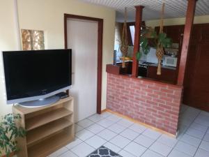 ein Wohnzimmer mit einem TV und einem Kamin in der Unterkunft Szőnyi úti vendégház in Zebegény