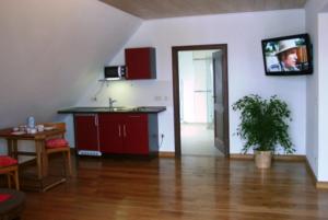 a living room with a kitchen and a table and a plant at Apartments Mester in Xanten