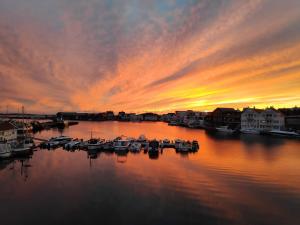 a group of boats docked in a marina at sunset at Helt i Vannkanten as in Åkrehamn