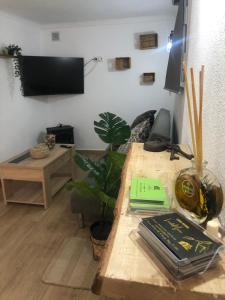 Televízia a/alebo spoločenská miestnosť v ubytovaní Casa rural Leo&Manu