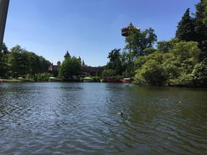 a duck swimming in the water in a lake at Bed and Breakfast in de buurt in Waalwijk