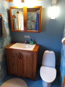 W łazience znajduje się umywalka, toaleta i lustro. w obiekcie Mysig stuga i Vasaloppsbyn Evertsberg w mieście Älvdalen