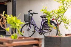 a purple bike parked next to some plants at LaraBella Salt fields view studio in Portorož