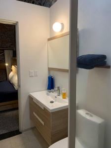 1 cama y baño con lavabo y aseo. en 104 LOFT CENTRO CDMX CONFORT 1° PISO BALCON, en Ciudad de México
