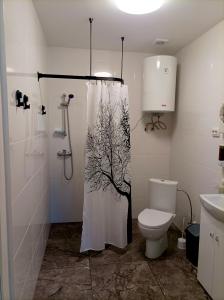 阿格洛納的住宿－BALTĀ māja，带淋浴帘和卫生间的浴室