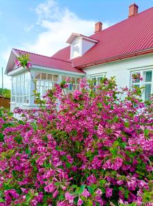 a garden of pink flowers in front of a house at BALTĀ māja in Aglona