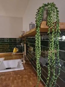 Kúpeľňa v ubytovaní Uroczy apartament blisko centrum - 10 min do plaży