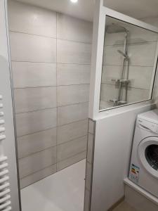 a laundry room with a washing machine and a mirror at Le LuMille in Allenay