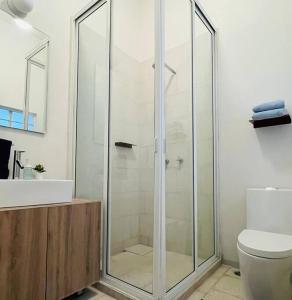 a bathroom with a shower and a toilet and a sink at 107 SUITES DONCELES CENTRO HISTÓRICO CDMX in Mexico City